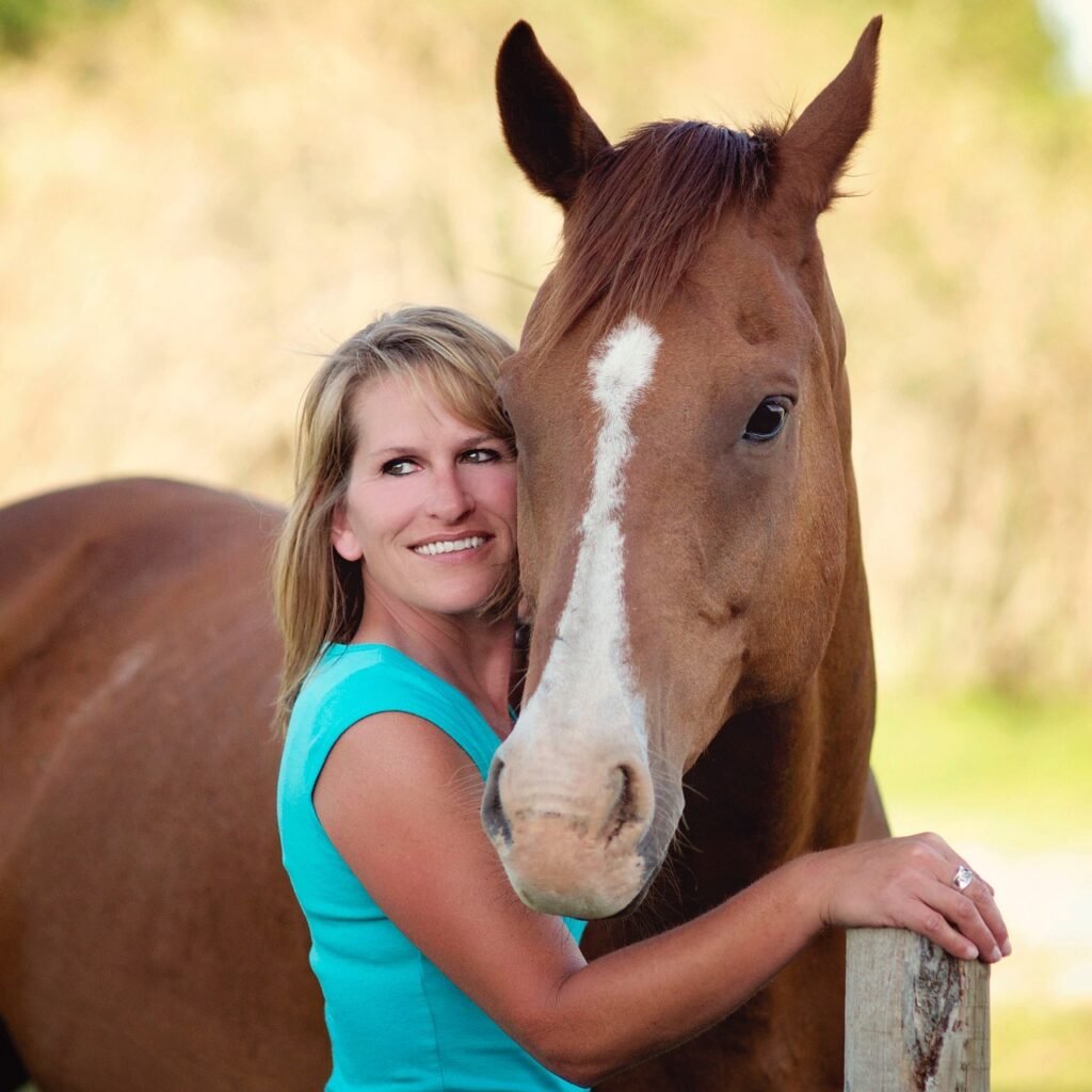 equine, horse, nature-1283277.jpg