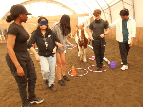 Specialist High Skills Major - Image 5