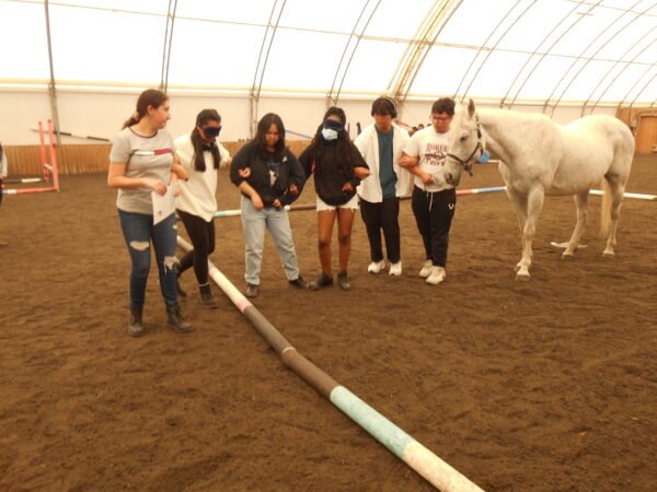 Specialist High Skills Major - Image 4